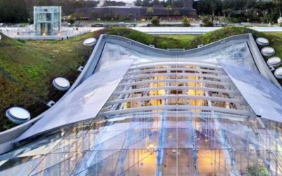 Reimagining Events Post-COVID with The California Academy of Sciences’ Christophe Ley