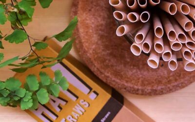 3 Ways to Make Your Meetings & Events More Sustainable