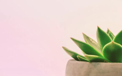 Sustainable Event Planning: Key Earns California Green Business Certification