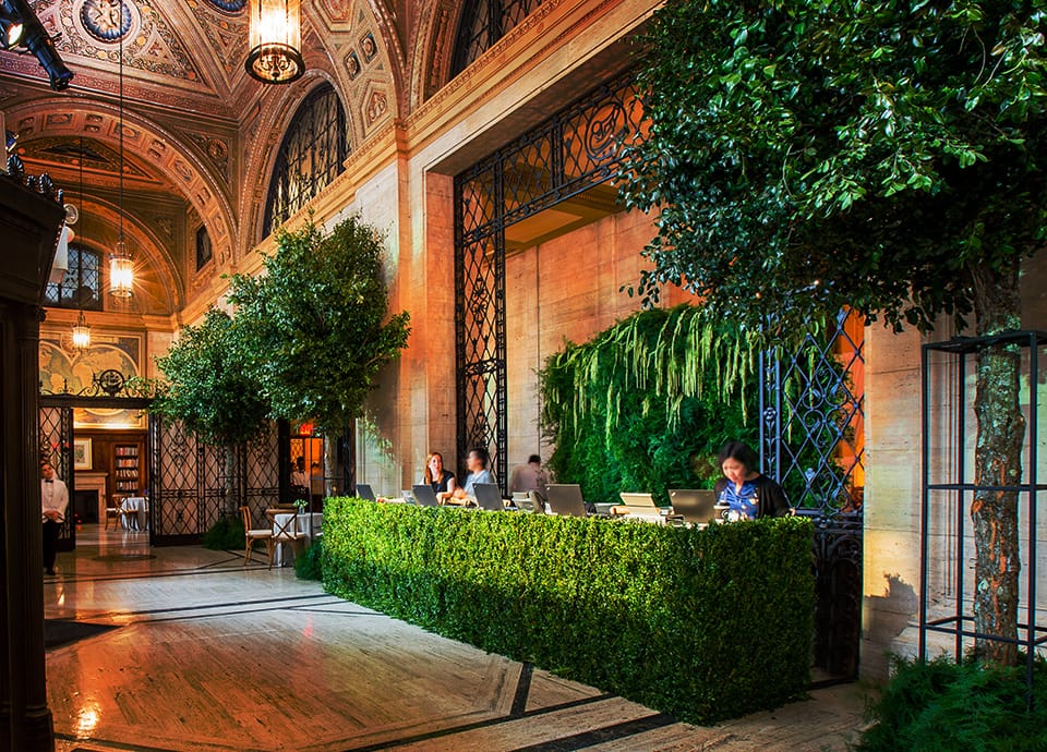 TPG Rise Paris Registration