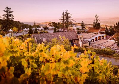 WHEN A BIG INTERNAL ANNOUNCEMENT CALLS FOR A BIG OUTDOOR STAGE