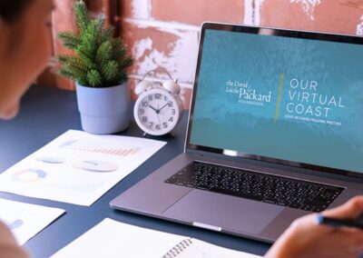 MAKING LIVE MEETINGS WORK VIRTUALLY TAKES THINKING OUTSIDE THE VIRTUAL BOX